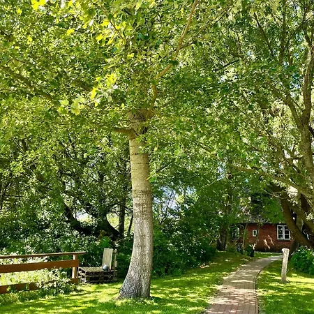 Reetdachhaus Fuer Erholsamen Familienurlaub By Interhome * Norderfriedrichskoog